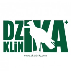 DZIKA KLINIKA
